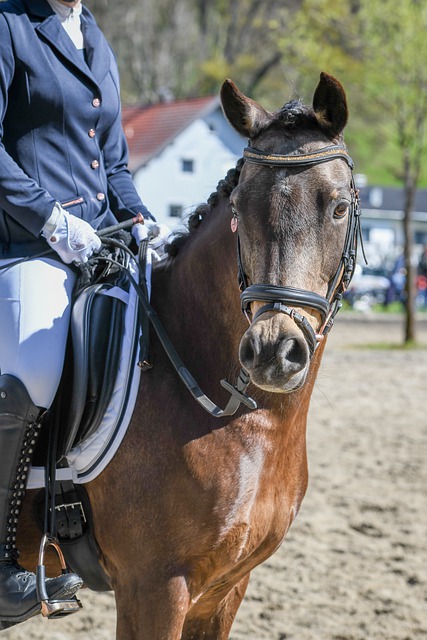 赋打磨成一 赋打磨成一