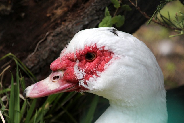 社会安定 社会安定