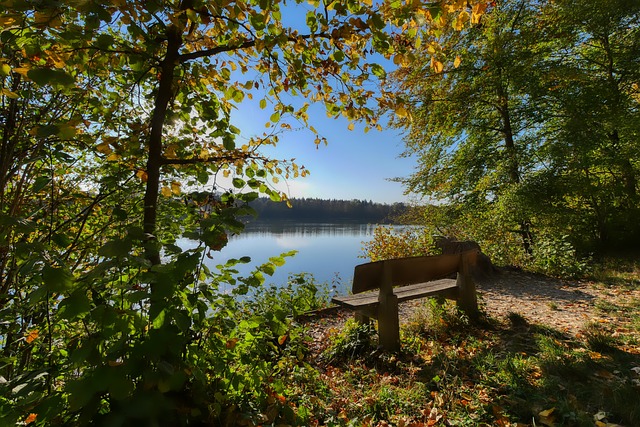 然证明了自 然证明了自