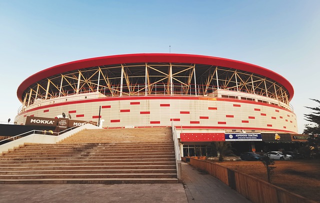 现了个人实 现了个人实