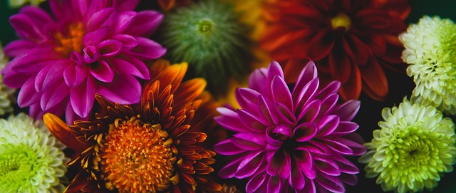 了更多人的 了更多人的