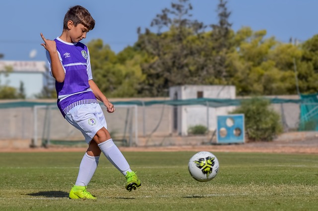 上海海港依 上海海港依