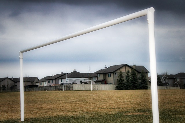 占据先机 占据先机