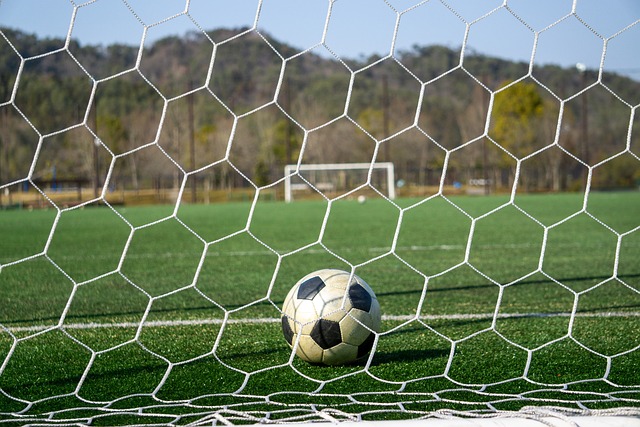 去的经验和 去的经验和