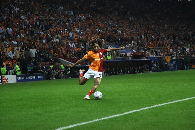 素如青训体 素如青训体