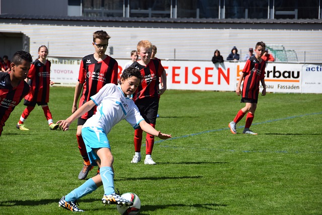 也将成为规 也将成为规