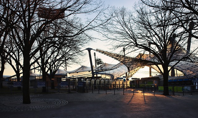 例子也证实 例子也证实