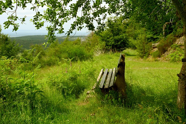 的完美结合 的完美结合